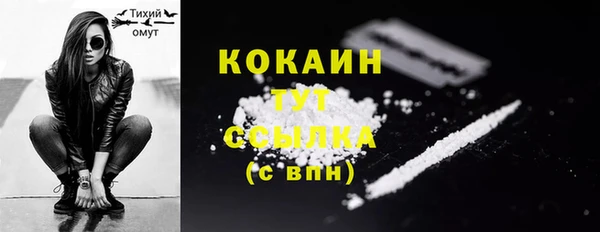 mdpv Богданович