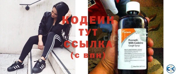 дмт Бородино