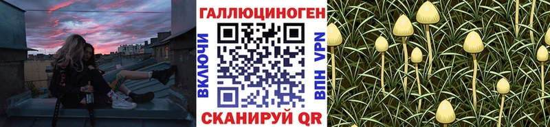 Галлюциногенные грибы Cubensis  Венёв 